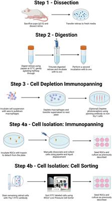Purification of retinal ganglion cells using low-pressure flow cytometry